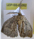  ( - LEP-SS-01052)  @11 [ ] No Rights Reserved (nrr) (2021) Unspecified Centro di Ricerca Foreste e Legno
