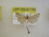  ( - LEP-SS-01192)  @11 [ ] No Rights Reserved (nrr) (2021) Unspecified Centro di Ricerca Foreste e Legno