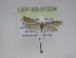  ( - LEP-SS-01234)  @11 [ ] No Rights Reserved (nrr) (2021) Unspecified Centro di Ricerca Foreste e Legno