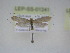  ( - LEP-SS-01241)  @11 [ ] No Rights Reserved (nrr) (2021) Unspecified Centro di Ricerca Foreste e Legno