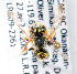  (Nomada BC40 - LRBBC936)  @13 [ ] CreativeCommons - Attribution Non-Commercial Share-Alike (2010) Unspecified York University