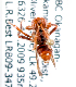  (Nomada bc17 - LRBBC950)  @12 [ ] CreativeCommons - Attribution Non-Commercial Share-Alike (2010) Unspecified York University