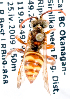  (Nomada bc16 - LRBBC957)  @12 [ ] CreativeCommons - Attribution Non-Commercial Share-Alike (2010) Unspecified York University