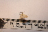  ( - P107)  @12 [ ] CreativeCommons - Attribution (2011) Elizabeth Clare Centre for Biodiversity Genomics