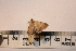  ( - P127)  @12 [ ] CreativeCommons - Attribution (2011) Elizabeth Clare Centre for Biodiversity Genomics