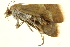  ( - P248)  @12 [ ] CreativeCommons - Attribution (2012) CBG Photography Group Centre for Biodiversity Genomics