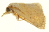  ( - P324)  @12 [ ] CreativeCommons - Attribution (2012) CBG Photography Group Centre for Biodiversity Genomics