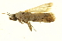  ( - P397)  @12 [ ] CreativeCommons - Attribution (2012) CBG Photography Group Centre for Biodiversity Genomics