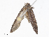  ( - CBG-A13247-H02)  @11 [ ] CreativeCommons - Attribution Share - Alike (2023) CBG Photography Group Centre for Biodiversity Genomics