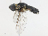  ( - CBG-A14997-F01)  @11 [ ] CreativeCommons - Attribution Share - Alike (2023) CBG Photography Group Centre for Biodiversity Genomics