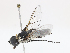  ( - CBG-A14998-G04)  @11 [ ] CreativeCommons - Attribution Share - Alike (2023) CBG Photography Group Centre for Biodiversity Genomics