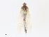  ( - CBG-A15000-D09)  @11 [ ] CreativeCommons - Attribution Share - Alike (2023) CBG Photography Group Centre for Biodiversity Genomics