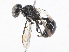  ( - CBG-A15002-H03)  @11 [ ] CreativeCommons - Attribution Share - Alike (2023) CBG Photography Group Centre for Biodiversity Genomics