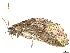  ( - CBG-A15002-H04)  @11 [ ] CreativeCommons - Attribution Share Alike (2024) CBG Photography Group Centre for Biodiversity Genomics