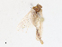  ( - CBG-A15005-B04)  @11 [ ] CreativeCommons - Attribution Share - Alike (2023) CBG Photography Group Centre for Biodiversity Genomics
