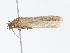  ( - CBG-A15005-B09)  @11 [ ] CreativeCommons - Attribution Share - Alike (2023) CBG Photography Group Centre for Biodiversity Genomics