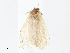  ( - CBG-A15005-C09)  @11 [ ] CreativeCommons - Attribution Share - Alike (2023) CBG Photography Group Centre for Biodiversity Genomics