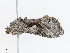  ( - CBG-A15009-A01)  @11 [ ] CreativeCommons - Attribution Share - Alike (2023) CBG Photography Group Centre for Biodiversity Genomics