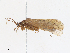  ( - CBG-A15011-B02)  @11 [ ] CreativeCommons - Attribution Share - Alike (2023) CBG Photography Group Centre for Biodiversity Genomics
