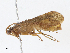  ( - CBG-A15014-A10)  @11 [ ] CreativeCommons - Attribution Share - Alike (2023) CBG Photography Group Centre for Biodiversity Genomics