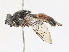  ( - CBG-A15015-B04)  @11 [ ] CreativeCommons - Attribution Share - Alike (2023) CBG Photography Group Centre for Biodiversity Genomics