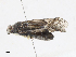  ( - CBG-A15017-C07)  @11 [ ] CreativeCommons - Attribution Share - Alike (2023) CBG Photography Group Centre for Biodiversity Genomics