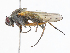  ( - CBG-A16640-C01)  @11 [ ] CreativeCommons - Attribution Share-Alike (2023) CBG Photography Group Centre for Biodiversity Genomics