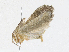  ( - CBG-A18334-A07)  @11 [ ] CreativeCommons - Attribution Share - Alike (2023) CBG Photography Group Centre for Biodiversity Genomics