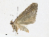  ( - CBG-A18334-A08)  @11 [ ] CreativeCommons - Attribution Share - Alike (2023) CBG Photography Group Centre for Biodiversity Genomics