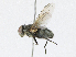  ( - CBG-A21745-A07)  @11 [ ] CreativeCommons - Attribution Share - Alike (2023) CBG Photography Group Centre for Biodiversity Genomics