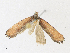  ( - CBG-A21745-C12)  @11 [ ] CreativeCommons - Attribution Share - Alike (2023) CBG Photography Group Centre for Biodiversity Genomics
