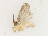  ( - CBG-A21745-D01)  @11 [ ] CreativeCommons - Attribution Share - Alike (2023) CBG Photography Group Centre for Biodiversity Genomics