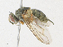  ( - CBG-A21745-D12)  @11 [ ] CreativeCommons - Attribution Share - Alike (2023) CBG Photography Group Centre for Biodiversity Genomics