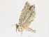  ( - CBG-A21745-G08)  @11 [ ] CreativeCommons - Attribution Share - Alike (2023) CBG Photography Group Centre for Biodiversity Genomics