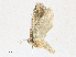  ( - CBG-A21745-G09)  @11 [ ] CreativeCommons - Attribution Share - Alike (2023) CBG Photography Group Centre for Biodiversity Genomics