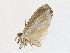  ( - CBG-A21746-B01)  @11 [ ] CreativeCommons - Attribution Share - Alike (2023) CBG Photography Group Centre for Biodiversity Genomics