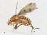  ( - CBG-A21746-B04)  @11 [ ] CreativeCommons - Attribution Share - Alike (2023) CBG Photography Group Centre for Biodiversity Genomics