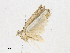  ( - CBG-A21746-D07)  @11 [ ] CreativeCommons - Attribution Share - Alike (2023) CBG Photography Group Centre for Biodiversity Genomics