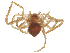  ( - CBG-A21747-D01)  @11 [ ] CreativeCommons - Attribution Share Alike (2025) CBG Photography Group Centre for Biodiversity Genomics