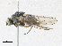  ( - CBG-A30035-H08)  @11 [ ] CreativeCommons - Attribution Share-Alike (2024) CBG Photography Group Centre for Biodiversity Genomics