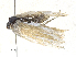  ( - CBG-A30037-E04)  @11 [ ] CreativeCommons - Attribution Share-Alike (2024) CBG Photography Group Centre for Biodiversity Genomics
