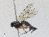  ( - CBG-A30038-C04)  @11 [ ] CreativeCommons - Attribution Share-Alike (2024) CBG Photography Group Centre for Biodiversity Genomics