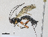  ( - CBG-A30040-D05)  @11 [ ] CreativeCommons - Attribution Share-Alike (2024) CBG Photography Group Centre for Biodiversity Genomics
