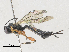  ( - CBG-A30040-E10)  @11 [ ] CreativeCommons - Attribution Share-Alike (2024) CBG Photography Group Centre for Biodiversity Genomics