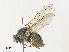  ( - CBG-A33511-C06)  @11 [ ] CreativeCommons - Attribution Share - Alike (2024) CBG Photography Group Centre for Biodiversity Genomics