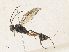  ( - CBG-A33511-H05)  @11 [ ] CreativeCommons - Attribution Share - Alike (2024) CBG Photography Group Centre for Biodiversity Genomics