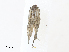  ( - CBG-A33512-A11)  @11 [ ] CreativeCommons - Attribution Share - Alike (2024) CBG Photography Group Centre for Biodiversity Genomics