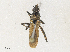  ( - CBG-A34295-E06)  @11 [ ] CreativeCommons - Attribution Share - Alike (2024) CBG Photography Group Centre for Biodiversity Genomics