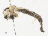  ( - CBG-A35151-B10)  @11 [ ] CreativeCommons - Attribution Share - Alike (2024) CBG Photography Group Centre for Biodiversity Genomics