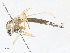  ( - CBG-A35151-C09)  @11 [ ] CreativeCommons - Attribution Share - Alike (2024) CBG Photography Group Centre for Biodiversity Genomics